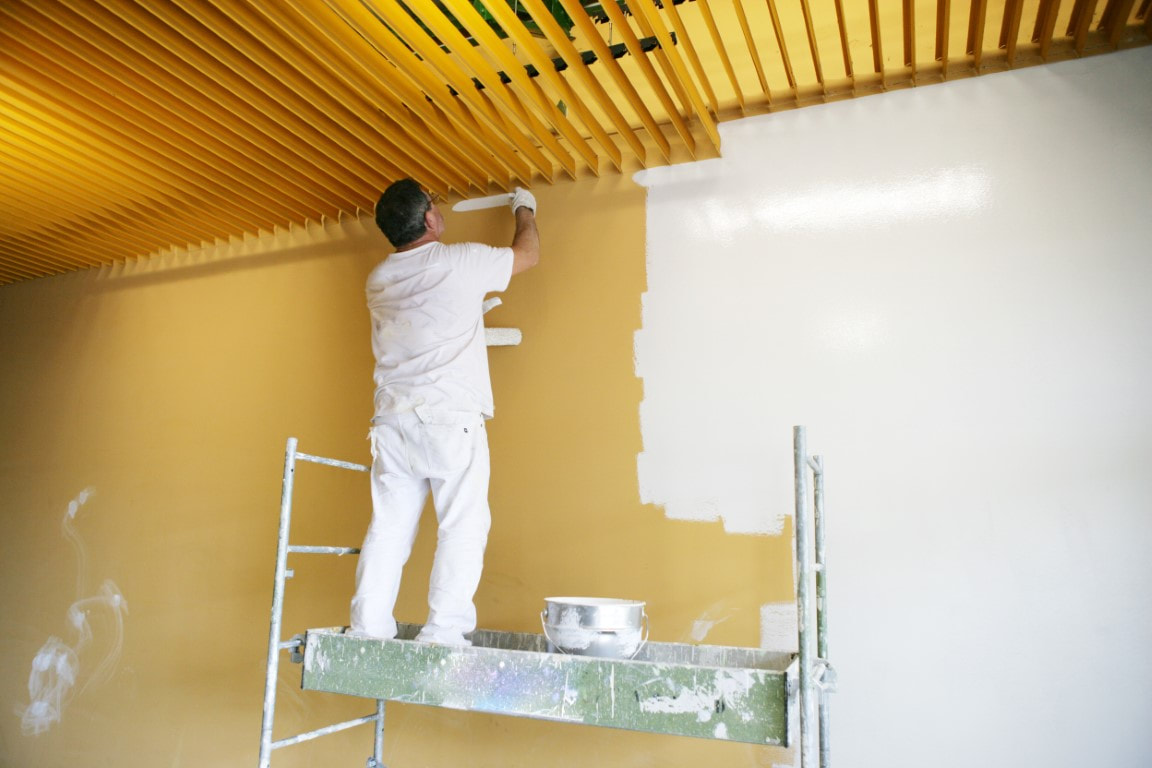 wall painters

